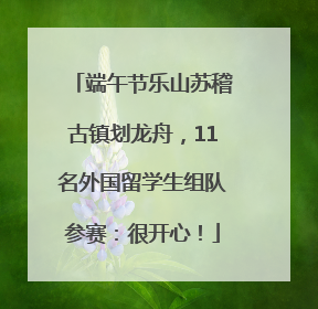 端午节乐山苏稽古镇划龙舟，11名外国留学生组队参赛：很开心！