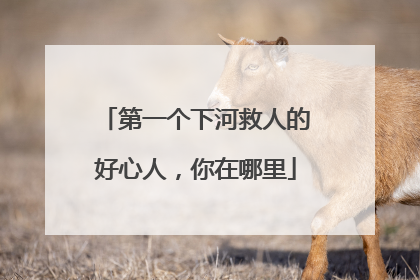 第一个下河救人的好心人，你在哪里