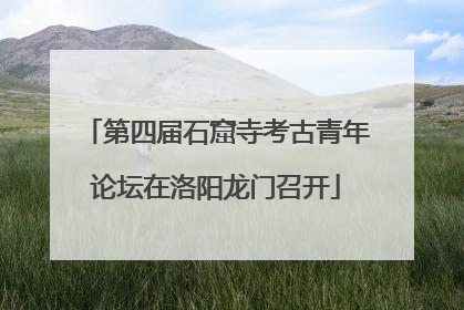 第四届石窟寺考古青年论坛在洛阳龙门召开