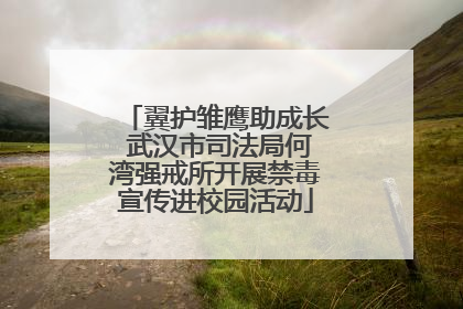 翼护雏鹰助成长 武汉市司法局何湾强戒所开展禁毒宣传进校园活动