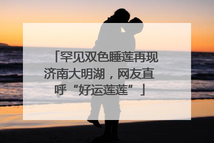 罕见双色睡莲再现济南大明湖，网友直呼“好运莲莲”