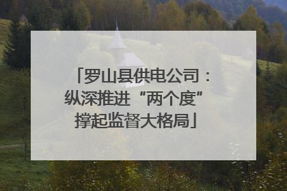 罗山县供电公司：纵深推进“两个度” 撑起监督大格局