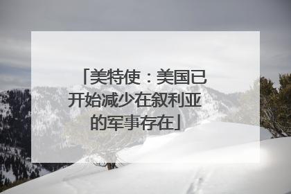 美特使：美国已开始减少在叙利亚的军事存在