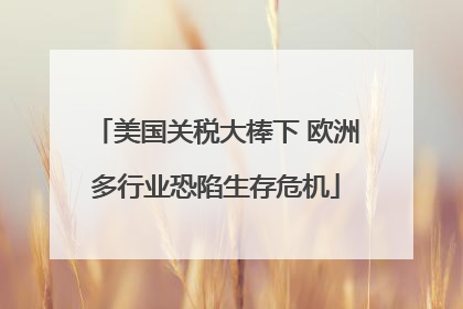 美国关税大棒下 欧洲多行业恐陷生存危机