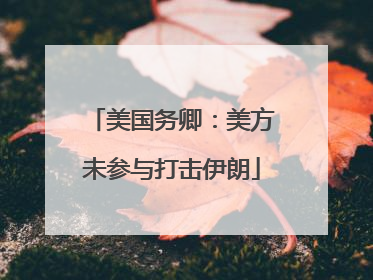 美国务卿：美方未参与打击伊朗