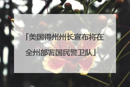美国得州州长宣布将在全州部署国民警卫队