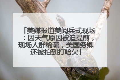 美媒报道美阅兵式现场：因天气原因被迫提前，现场人群稀疏，美国务卿还被拍到打哈欠
