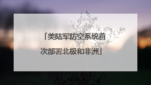 美陆军防空系统首次部署北极和非洲
