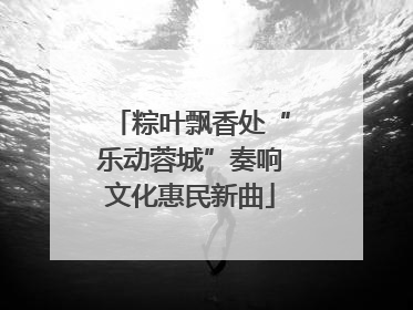 粽叶飘香处“乐动蓉城”奏响文化惠民新曲
