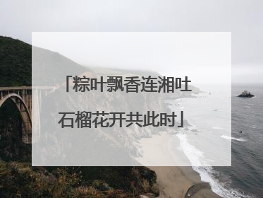 粽叶飘香连湘吐 石榴花开共此时