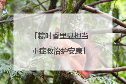 粽叶香里显担当 重症救治护安康