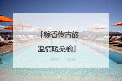 粽香传古韵 温情暖桑榆