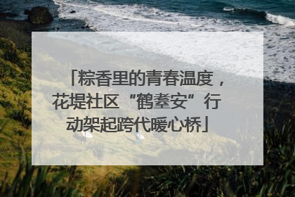 粽香里的青春温度，花堤社区“鹤耋安”行动架起跨代暖心桥
