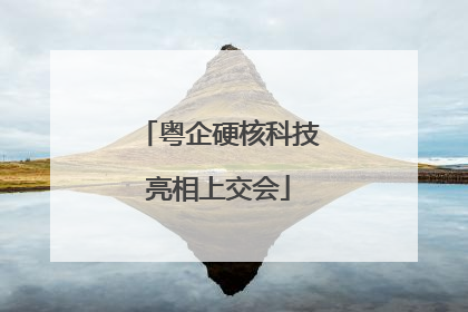 粤企硬核科技亮相上交会
