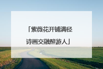 紫薇花开铺满径 诗画交融醉游人