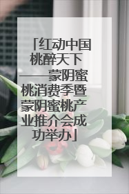 红动中国 桃醉天下——蒙阴蜜桃消费季暨蒙阴蜜桃产业推介会成功举办