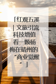 红观五溪｜文旅引流 科技增值 看一颗杨梅在靖州的“商业觉醒”