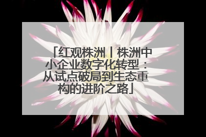 红观株洲丨株洲中小企业数字化转型：从试点破局到生态重构的进阶之路