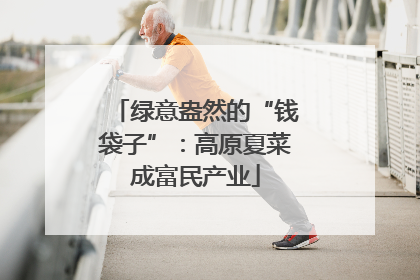 绿意盎然的“钱袋子”：高原夏菜成富民产业