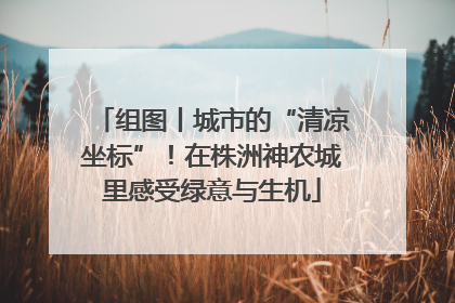 组图丨城市的“清凉坐标”！在株洲神农城里感受绿意与生机
