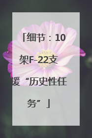 细节：10架F-22支援“历史性任务”