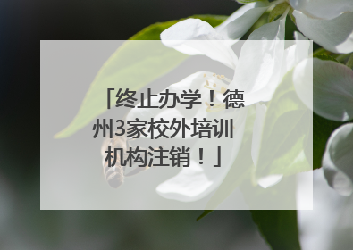 终止办学！德州3家校外培训机构注销！