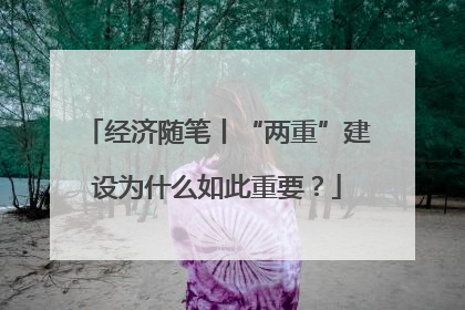 经济随笔丨“两重”建设为什么如此重要？