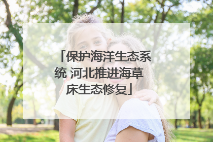 保护海洋生态系统 河北推进海草床生态修复