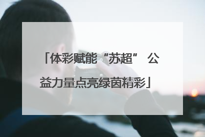 体彩赋能“苏超” 公益力量点亮绿茵精彩