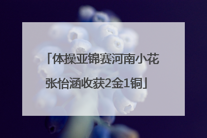 体操亚锦赛河南小花张怡涵收获2金1铜