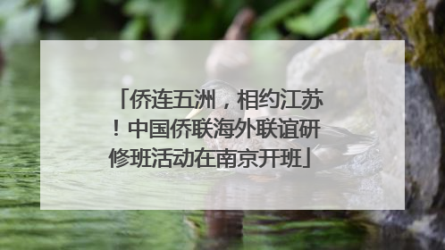 侨连五洲，相约江苏！中国侨联海外联谊研修班活动在南京开班