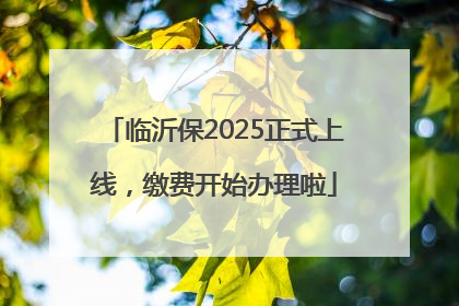 临沂保2025正式上线，缴费开始办理啦