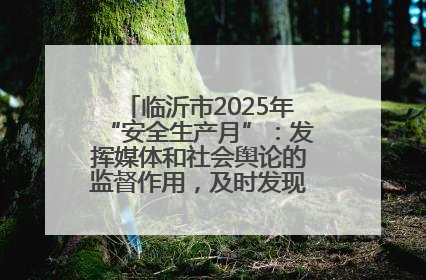 临沂市2025年“安全生产月”：发挥媒体和社会舆论的监督作用，及时发现并消除安全隐患