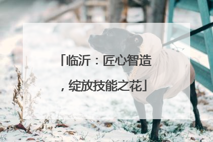 临沂：匠心智造，绽放技能之花