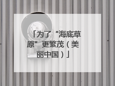 为了“海底草原”更繁茂（美丽中国）