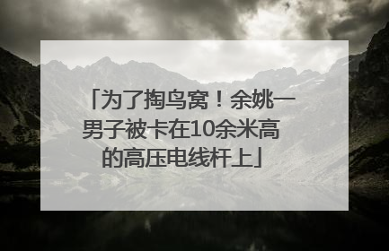 为了掏鸟窝！余姚一男子被卡在10余米高的高压电线杆上