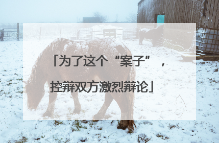 为了这个“案子”，控辩双方激烈辩论