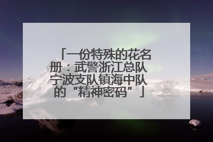一份特殊的花名册：武警浙江总队宁波支队镇海中队的“精神密码”