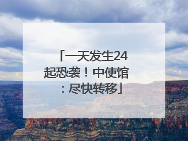 一天发生24起恐袭！中使馆：尽快转移
