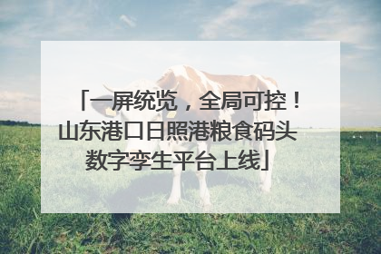 一屏统览，全局可控！山东港口日照港粮食码头数字孪生平台上线