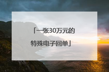 一张30万元的特殊电子回单