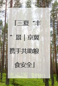 三夏“丰”景｜京冀携手共助粮食安全
