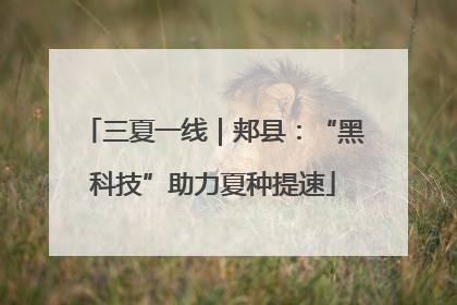 三夏一线｜郏县：“黑科技”助力夏种提速