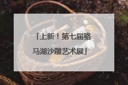 上新！第七届骆马湖沙雕艺术展
