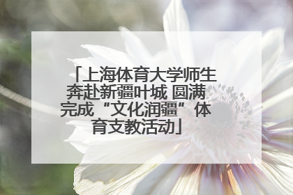 上海体育大学师生奔赴新疆叶城 圆满完成“文化润疆”体育支教活动