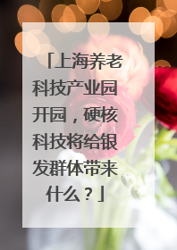 上海养老科技产业园开园，硬核科技将给银发群体带来什么？