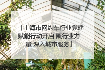 上海市网约车行业党建赋能行动开启 聚行业力量 深入城市服务