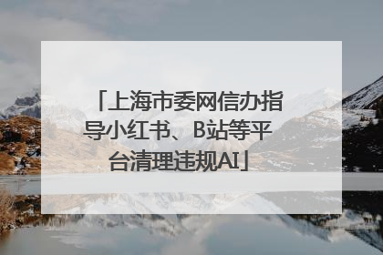 上海市委网信办指导小红书、B站等平台清理违规AI