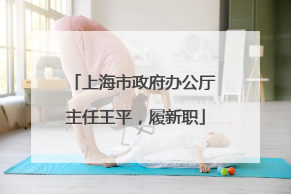 上海市政府办公厅主任王平，履新职