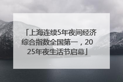上海连续5年夜间经济综合指数全国第一，2025年夜生活节启幕